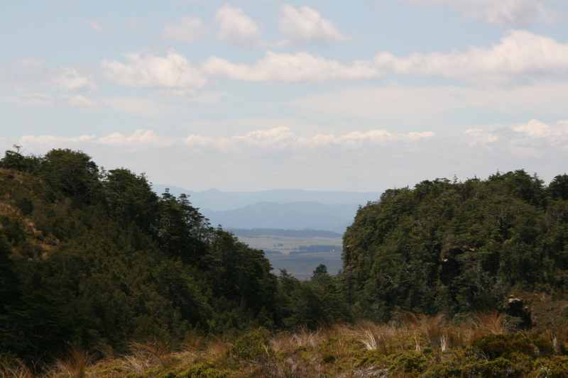 Nieuw-Zeeland 2011 - 0847